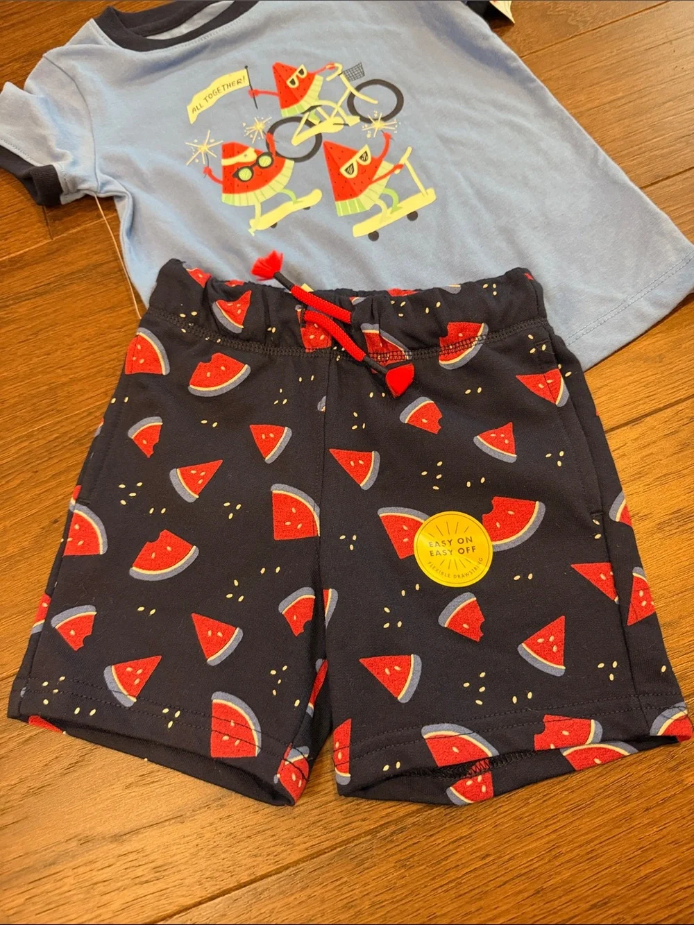 Cat & Jack Blue and Navy Watermelon Short Set NWT Size 2T - C8-123